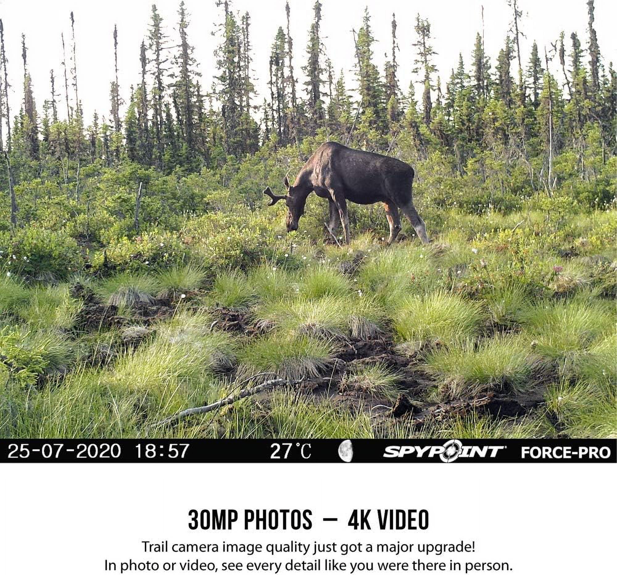 SPYPOINT Force-Pro Trail Camera