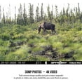 thumbnail image 4 of SPYPOINT Force-Pro Trail Camera, 4 of 7