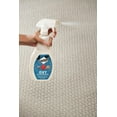 Scotchgard OXY Carpet & Fabric Spot & Stain Remover (26 oz)