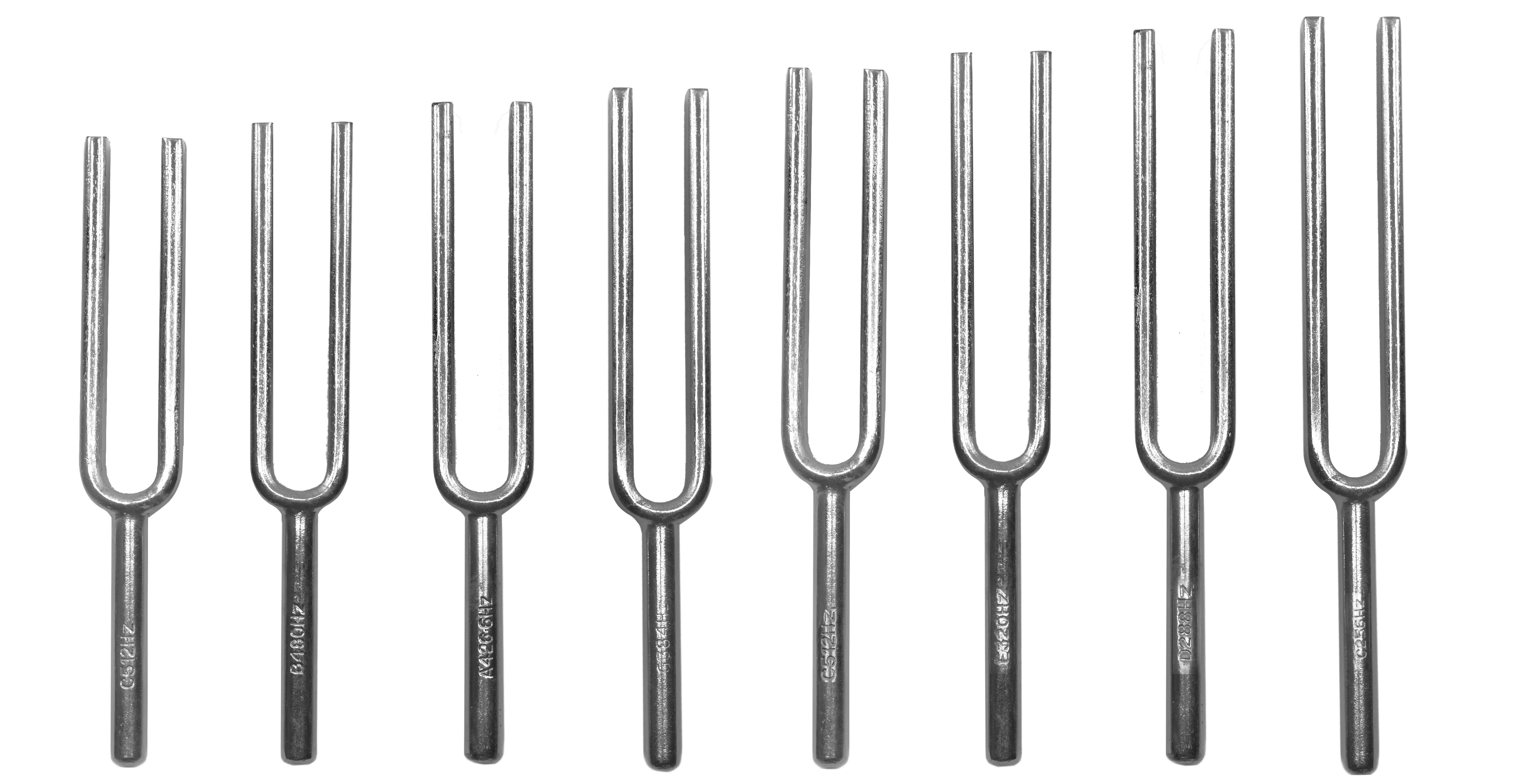 Eisco Labs Scientific Steel Tuning Forks, Set of 8 (Scientific Pitch