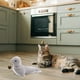 thumbnail image 5 of Juguetes Interactivos Para Gatos Juguetes Juguete Interactivo Chirriante Para Gatos Juguete Masticable Para Mascotas (D), 5 of 7