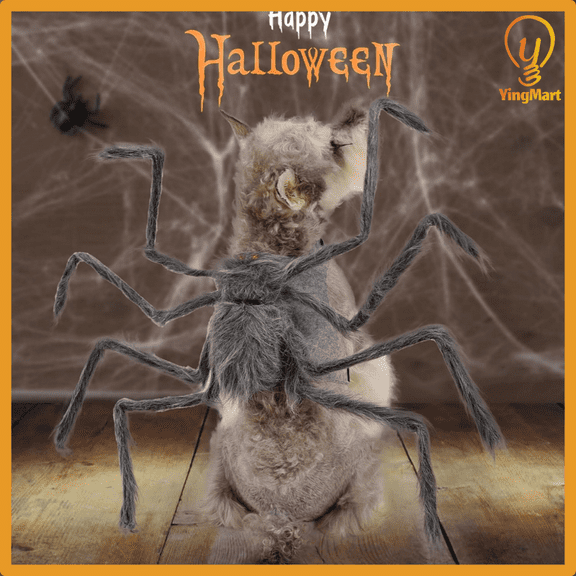 Big Spider Pet Costume for Dogs Cats Funny Halloween Outfit Cosplay YingMart Dog Clothes (Gray, S)