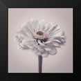 thumbnail image 2 of Frank, Assaf 20x20 Black Modern Framed Museum Art Print Titled - Zinnia flower, 2 of 5