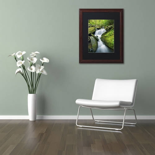 Trademark Fine Art 'Cascade Mossy Rocks' Canvas Art by Michael Blanchette Photography, Black Matte, Wood Frame