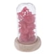 thumbnail image 5 of Flor seca en botella perfecl MicroLandscape rojo, 5 of 8