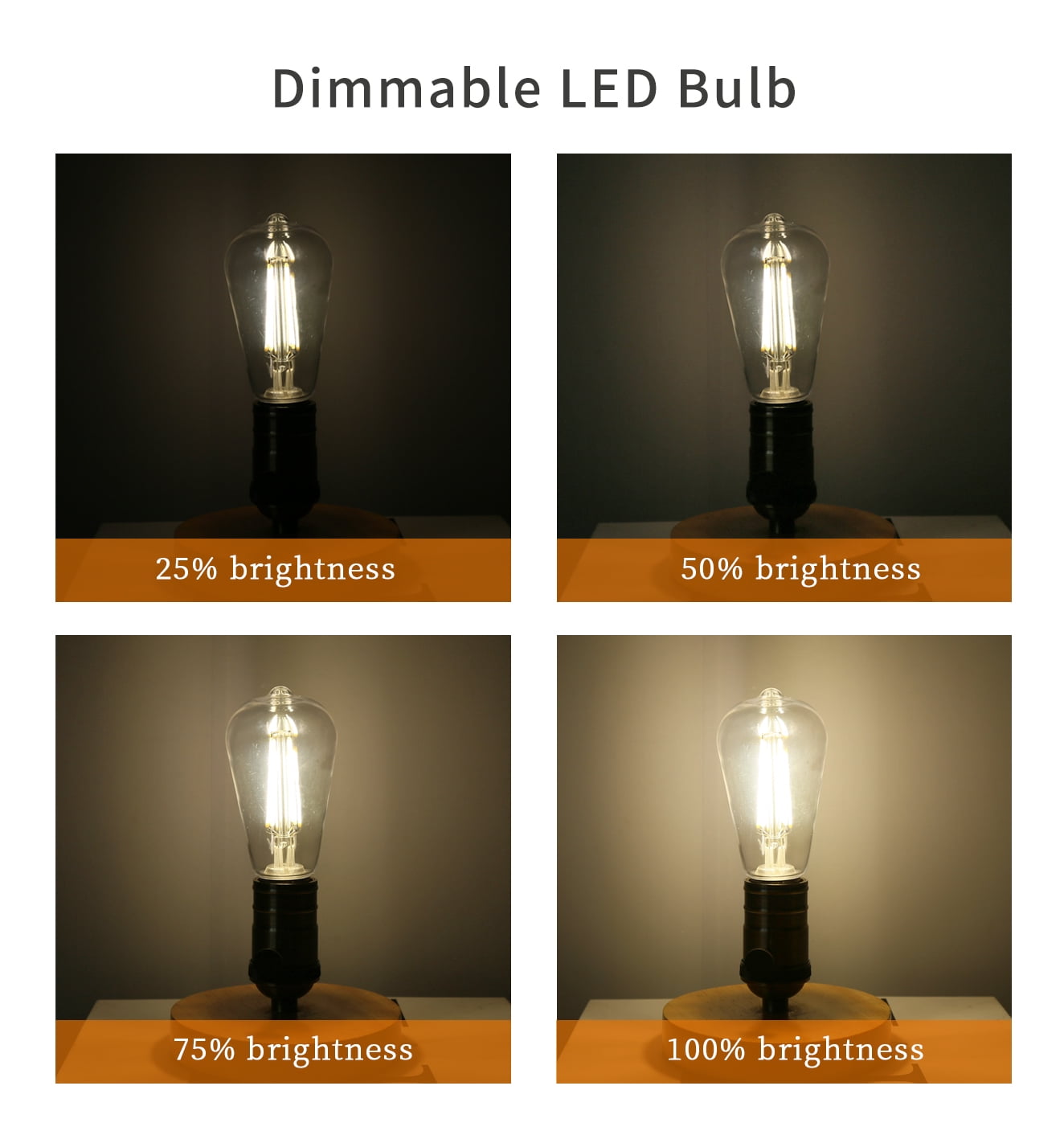 Austin Coast 12-Pack ST58 LED Bulbs, 6W (60W Equivalent), Warm White 2700K, E26 Base, Dimmable, 800 Lumens, Shatterproof