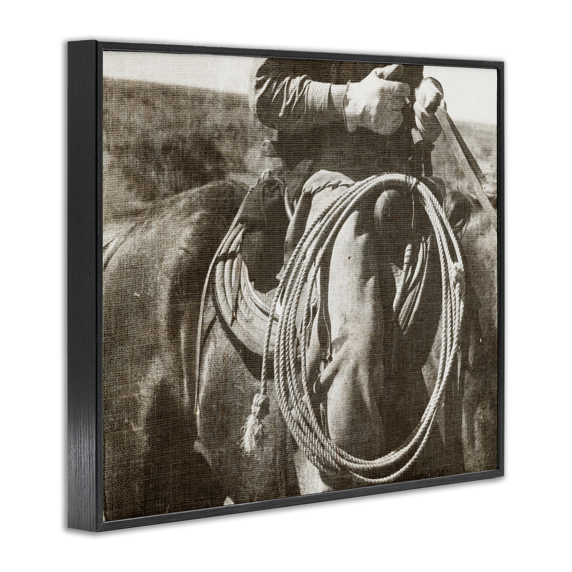 Stupell Industries Cowboy with Lasso Novelty Photography Black Framed Art Print Wall Art, 20 x 16