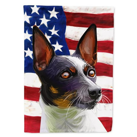 Carolines Treasures CK6737CHF Tenterfield Terrier American Canvas House Flag - 28 x 0.01 x 40 in.