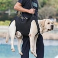 thumbnail image 4 of Dog Lift Harness for Large Dogs Sling for Whole Body Dog Legs Support Carriers Harness for Elderly Injured Disabled Dogs, 4 of 16