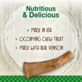 thumbnail image 3 of Nylabone Healthy Edibles WILD Antler Natural Long Lasting Venison Flavor Dog Chew Treats Medium/Wolf (2 Count), 3 of 13