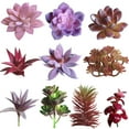 thumbnail image 2 of Artificial Succulent Plant Flower Arrangement DIY Bonsai Home Hotel Cafe Decor, 2 of 8