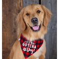 thumbnail image 2 of YROVWENQ Foulard Chien & Chat, Bandana à Carreaux Rouges, 60cm Cou, Cadeau Gotcha Day, 2 of 4
