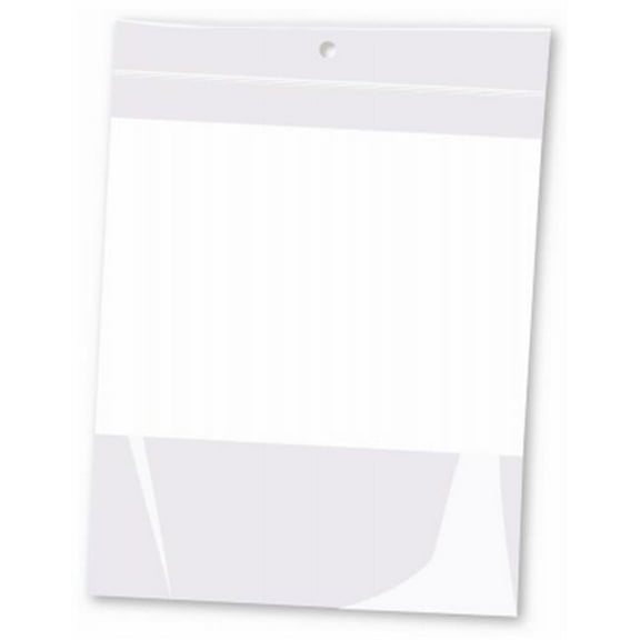 6 x 8 in. 2 Mil Zip Lock Type Plastic Bag with Hang Hole