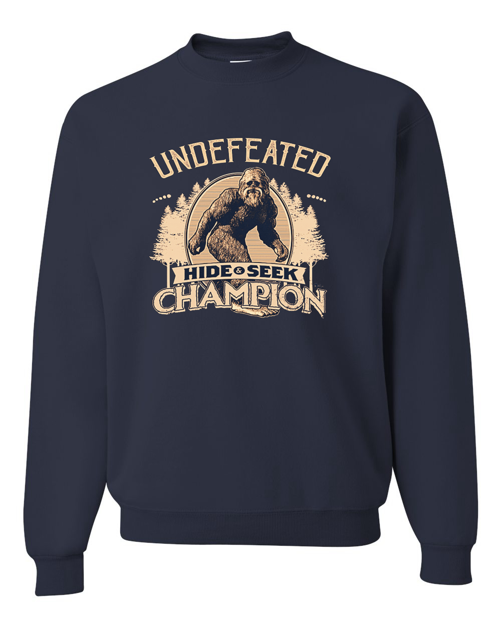 mens champion sweatshirt black