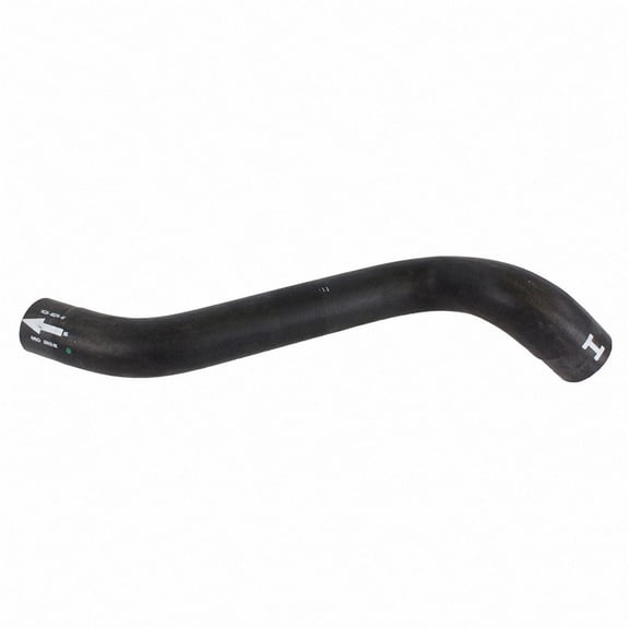 Motorcraft HOSE - RADIATOR (P)