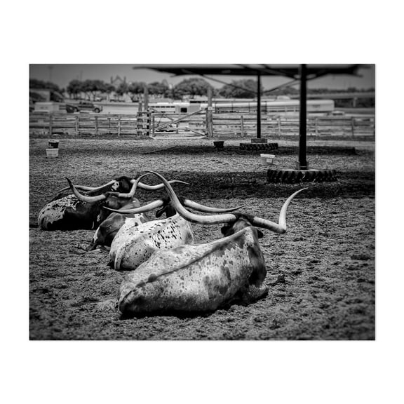 The Stockyard - Fort Worth Texas Photography Black and White Rustic Farmhouse Rural Nature Landscape Vintage Unframed Wall Art Print 8 x 10 inches