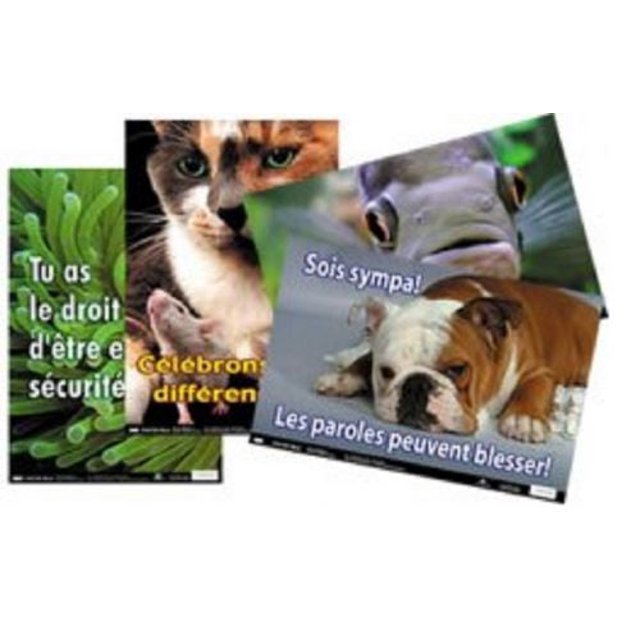 French Educational Fun Posters