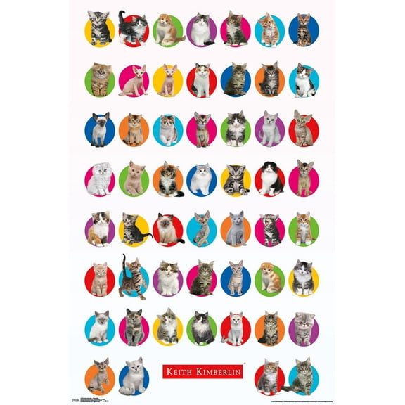 Keith Kimberlin - Kitten Grid Wall Poster, 22.375" x 34"