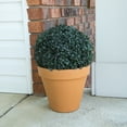 thumbnail image 2 of Pure Garden 11-Inch Artificial Boxwood Topiary Ball with Solar LED Lights, 2 of 8