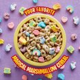thumbnail image 3 of St Patricks Day Chocolate Lucky Charms Cereal with Marshmallows, Family Size, 18.8 OZ, 3 of 9