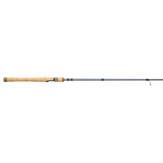 daiwa bg 4000 reels comparible fuegos Bg 4000 Daiwa Bg 8000 Price Daiwa BG Spinning Reel  Rebel Fishing Alliance
