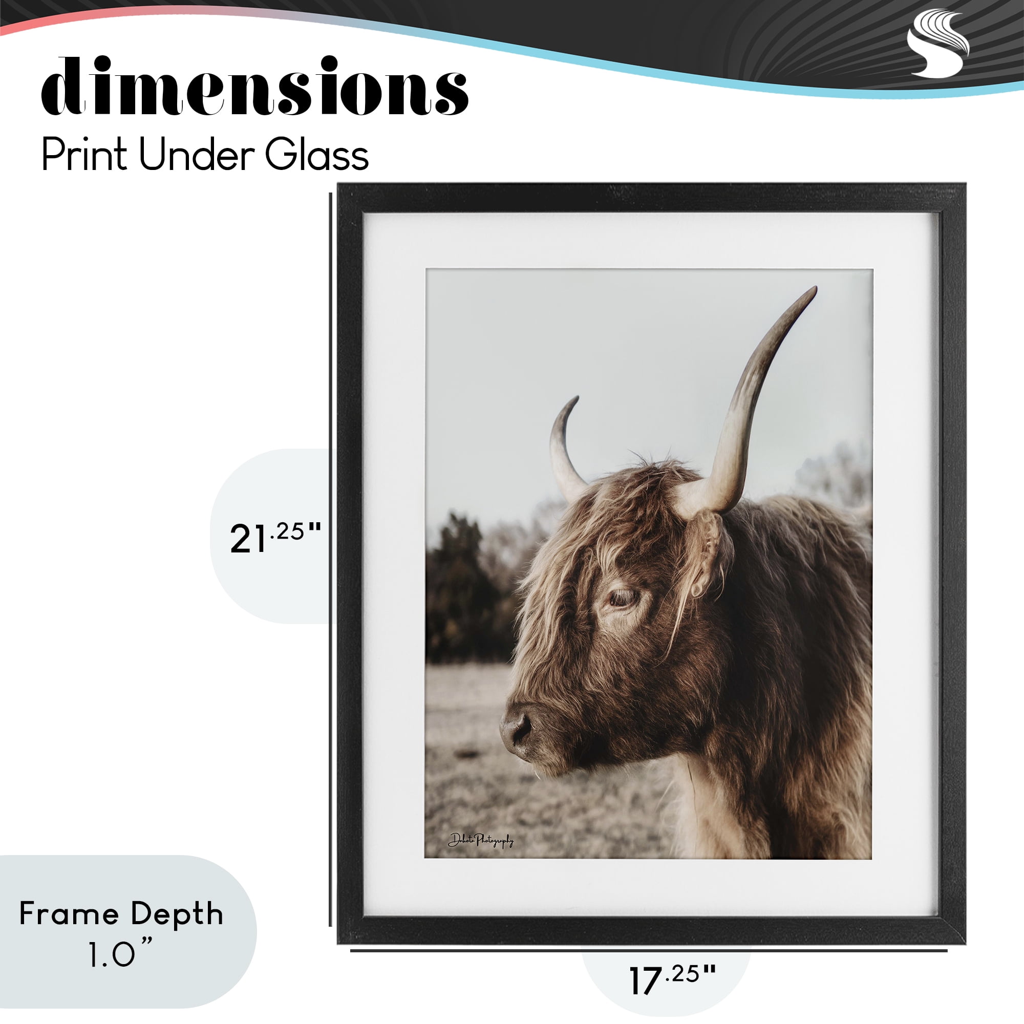 Stupell Industries Horned Cattle Peering Black Framed Print Under Glass, design by Dakota Diener