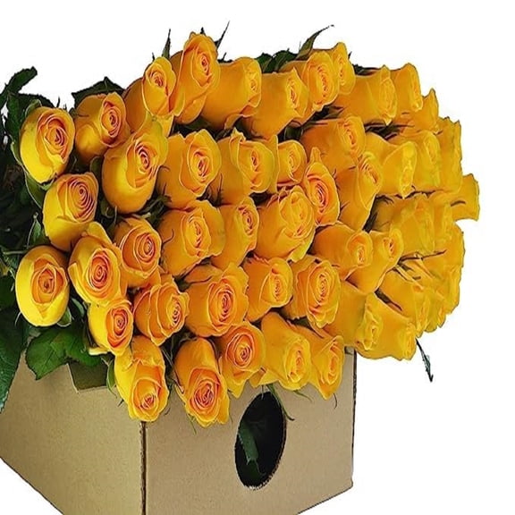 KaBloom :24 Yellow Roses, 3 Greens, Next-Day Delivery, Gift for Every Occasion.