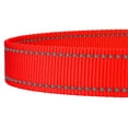 thumbnail image 4 of Country Brook Design - 1 inch Blaze Orange Reflective Nylon Dog Leash - 6 Foot, 4 of 7