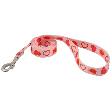 Heart Leash - Country Brook Design® 1 Inch Happy Hearts Leash - 6 Feet