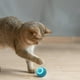 thumbnail image 4 of Juguete para gatos: rompecabezas, rompecabezas, rompecabezas, rompecabezas, rompecabezas, rompecabezas, rompecabezas inteligente, juguete automático rodante para gatos, 4 of 7