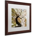 thumbnail image 2 of Trademark Fine Art "Under a Japanese Maple 2" Canvas Art by Kurt Shaffer, White Matte, Wood Frame, 2 of 4