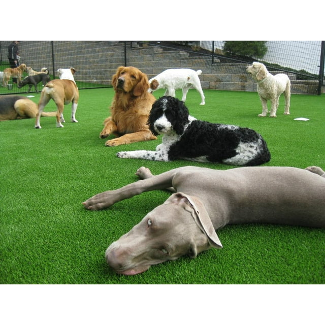 Trylawnturf Cruz high quality artificial grass - 6-ftx15-ft