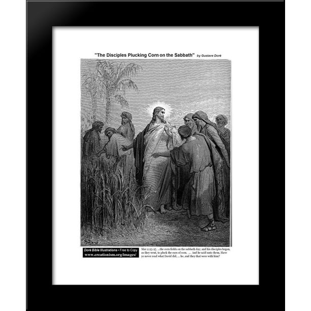 The Disciples Plucking Corn On The Sabbath 20x24 Framed Art Print by ...