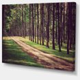 thumbnail image 2 of Style Vintage Forêt avec Allée - Art Moderne sur Toile, 2 of 4