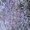 Purple, variant on Women's Loose Casual Printed Long Sleeve Shirt Vintage Linen Blouse Comfortable Soft Polyester Top for Daily Work Dating