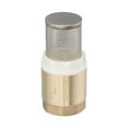 thumbnail image 2 of Chendee Copper Water Pump Inlet Pipe Filter Thread Filter Vertical Check Valve,Dn25, 2 of 9