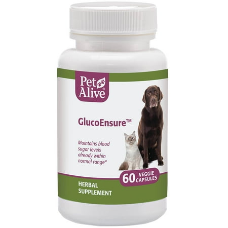 UPC: 0810845012508 | PetAlive GlucoEnsure – All Natural Herbal Supplement For Maintaining Blood Sugar (Glucose) Levels Already in the Normal Range in Pets