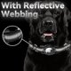 thumbnail image 3 of Collar de perro reflectante JAMW compatible con Apple Airtag de nailon para perros pequeños y medianos M negro, 3 of 5