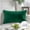 Green, variant on Phantoscope Christmas holiday Decorative Throw Pillow with insert, Silky Velvet Series, 12" x 20", Light Green, 1 Pack