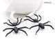 thumbnail image 2 of Pendientes de araña de Halloween para mujer, pendientes negros de Halloween, accesorios de disfraces para festivales, baile de Cosplay, baile de graduación, fiesta de baile de Carnaval TUNC Sencillez, 2 of 5