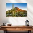 thumbnail image 2 of Elephant Stock Sonoran Desert Wall Art - Horizontal Canvas Wall Art - Living Room Wall Decor - Nature Canvas - Green And Orange Decor - 24" x 16", 2 of 8
