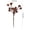 Brown 1Pcs, variant on HOARBOEG 1Pcs Vintage Burdock Ball Artificial Floral Stems Dried Chestnut Branch Picks Vase Filler Farmhouse Home Decor Boho Style Fall Thanksgiving Decorations for Table Centerpiece