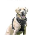 thumbnail image 1 of Rabbitgoo Dog Harness, No-pull Pet Harness With 2 Leash Clips, Adjustable Soft Padded Dog Vest, 1 of 5