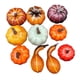 thumbnail image 4 of 10x calabazas artificiales, calabazas decorativas, exhibición de cosecha, decoración de Halloween, artesanías de espuma, calabazas para decorar repisa, 4 of 9