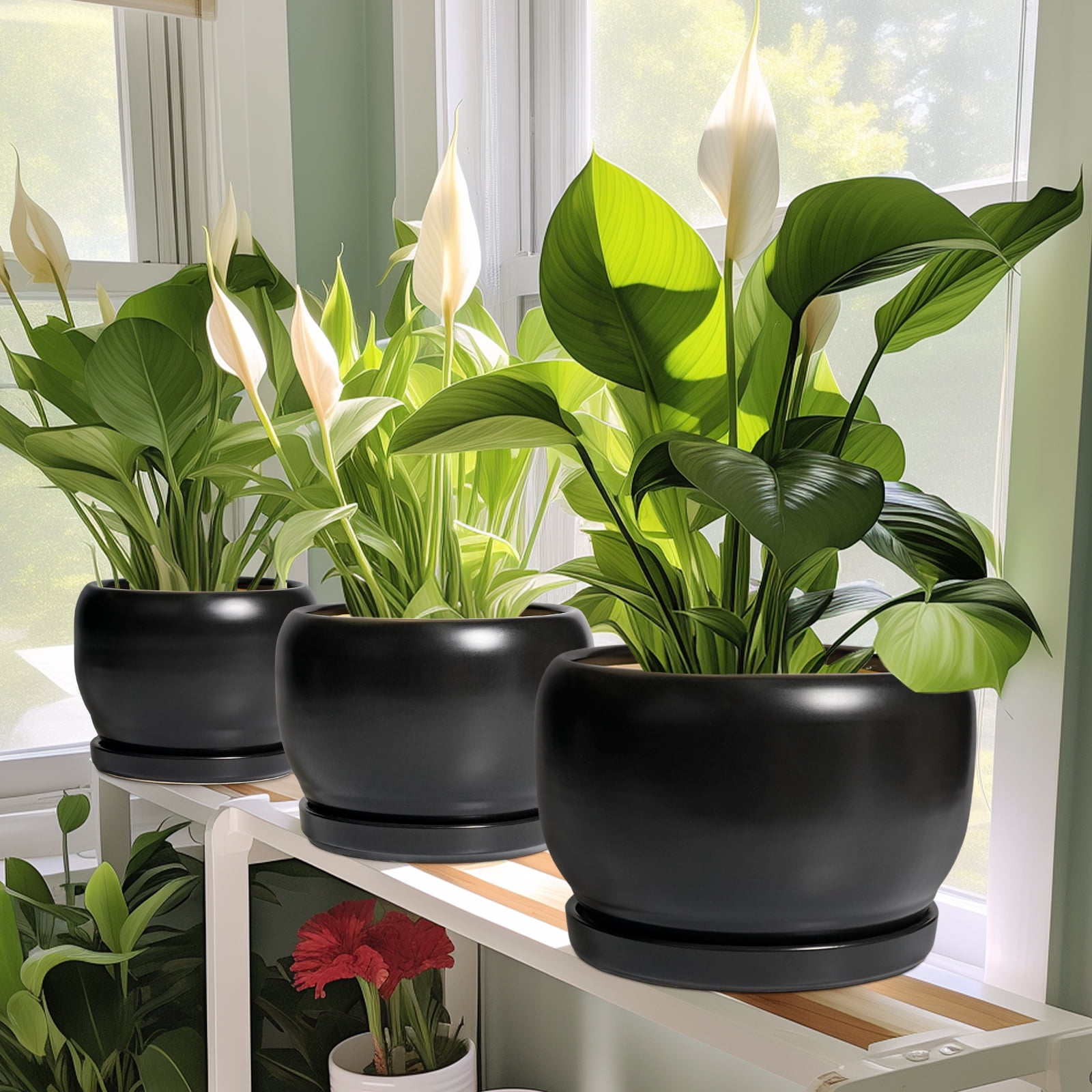 10 inch Pots for Plants, Large Round Ceramic Planter with Saucer & Drainage, Modern Flower Pot for Live Houseplants & Office Decor, Matte Black