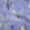 Bluish Violet, variant on oneOone Cotton Poplin Twill Amethyst Fabric Sea Corals Dress Material Fabric Print Fabric By The Yard 56 Inch Wide