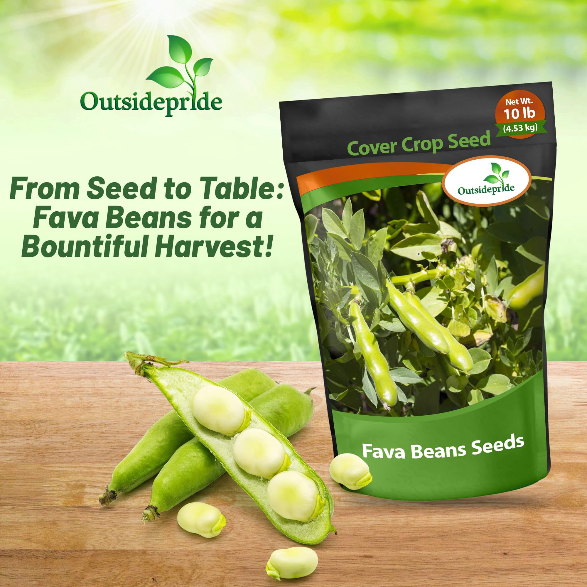Outsidepride Annual Fava Beans Seeds - 10 lbs. High-Protein Forage Legume Seed for Soil Health Improvement, Erosion Control Support, Pollinator Attraction, Cover Crop, Hay, & Deer Food Plots