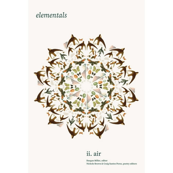 Elementals: Air, Vol. 2, (Paperback)