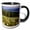 Black/White, variant on 3drose, Epic Beargrass Bloom on Big Mountain in Whitefish, Montana, Usa, 11oz Two-tone Green Mug