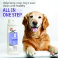 thumbnail image 4 of Hartz Groomer's Best PROFESSIONALS 6 IN 1 Dog Shampoo, 18 fl oz., 4 of 9